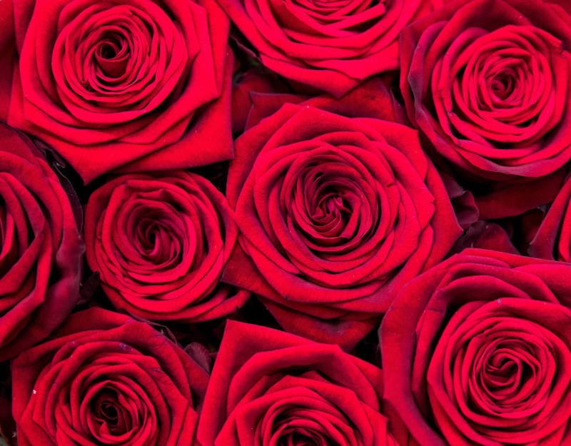 Absurdes Valentinstag Angebot Bei Aldi Hat Hammer Preis Der Kunden Aufregt